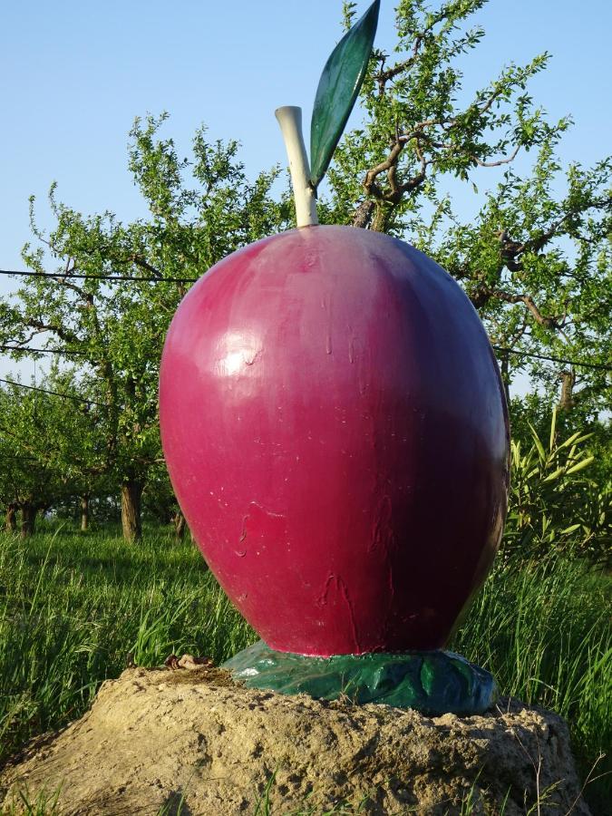 La Romieu Gite De Beausoleil المظهر الخارجي الصورة
