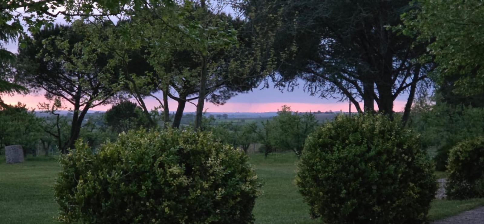 La Romieu Gite De Beausoleil المظهر الخارجي الصورة